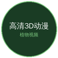 高清3D动漫